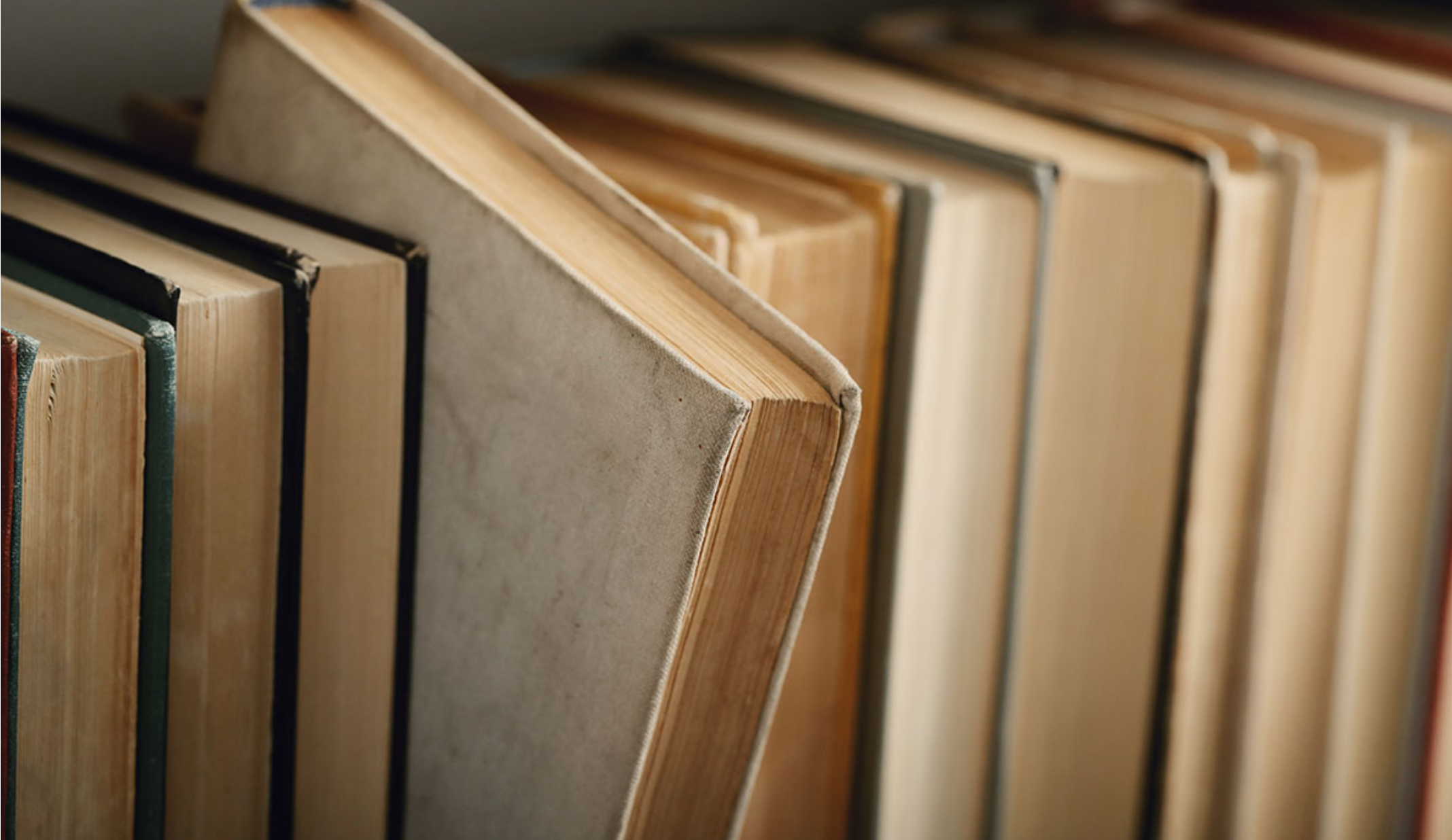 miquelRicartLibros